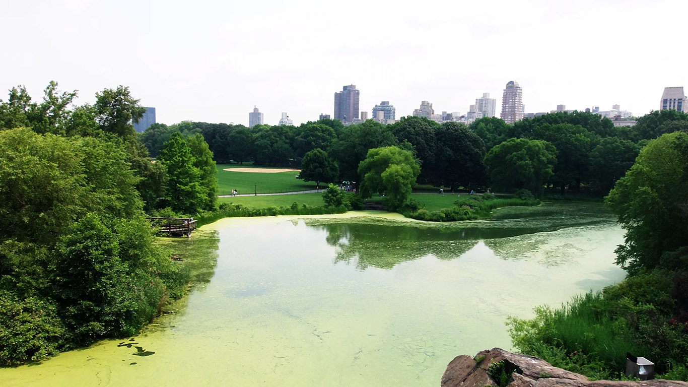 Parques-de-Nueva-York_