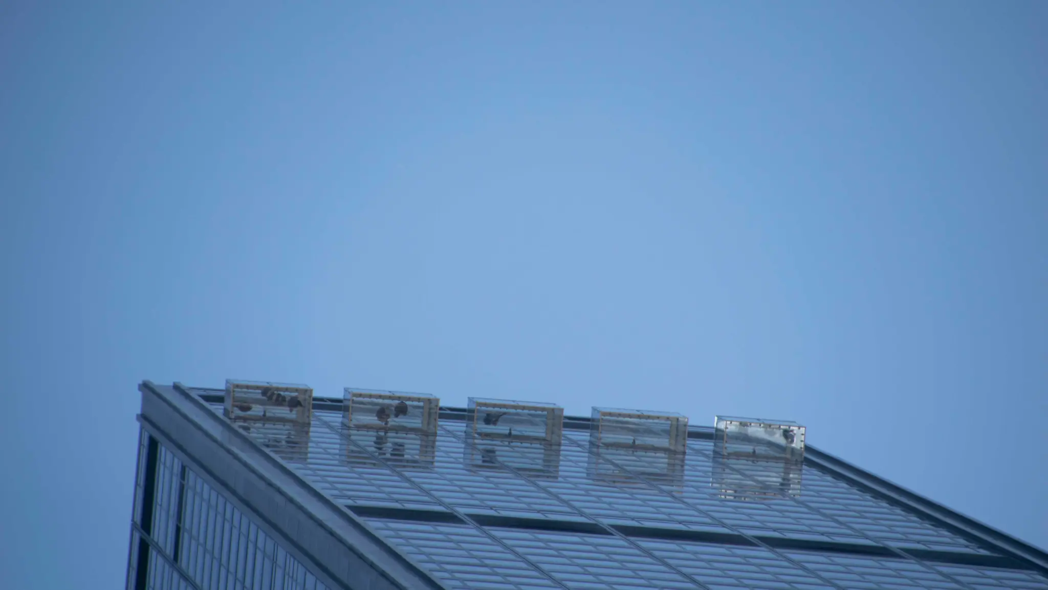 The Ledge y sus vistas