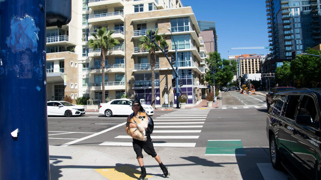 Como-moverse-por-San-Diego_