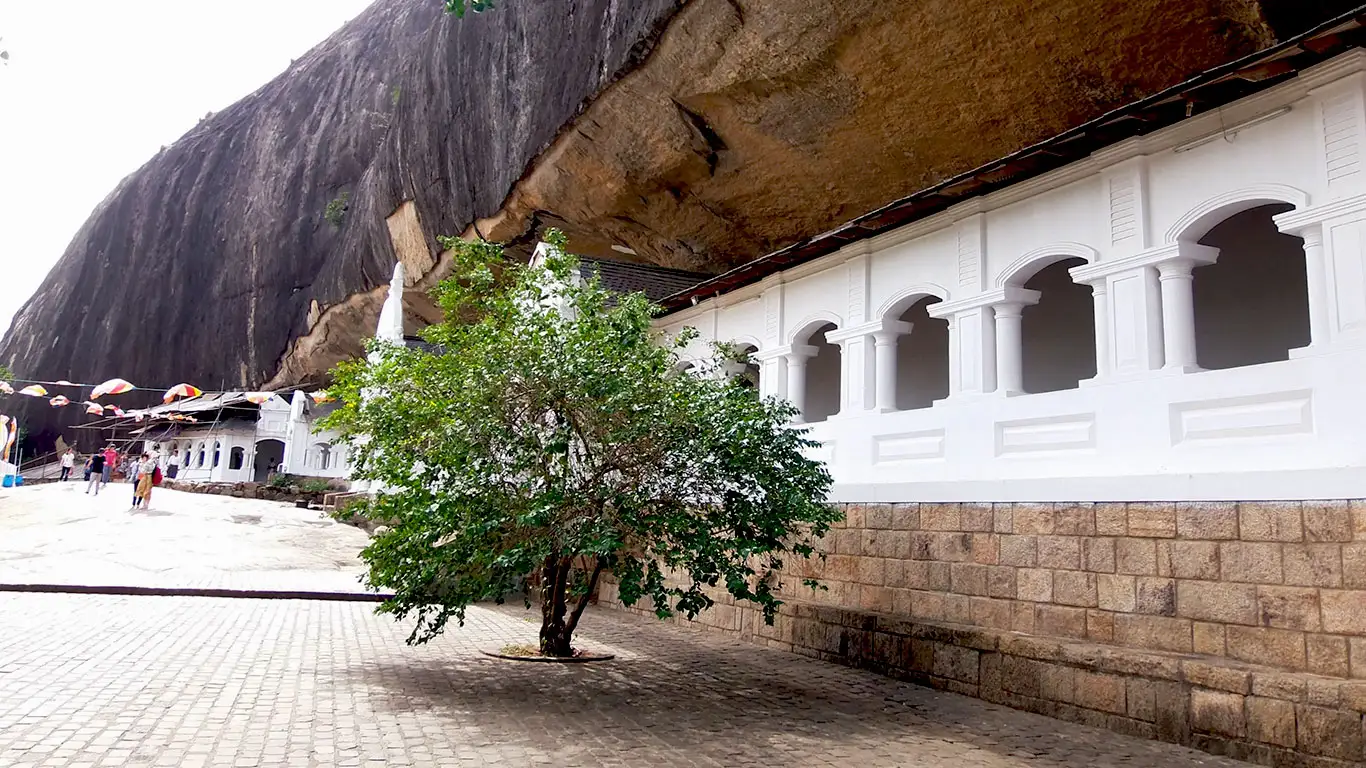 trincomalee-a-dambulla_