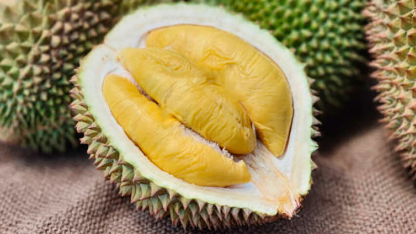 Durian