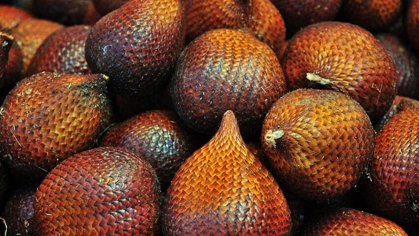 Salak