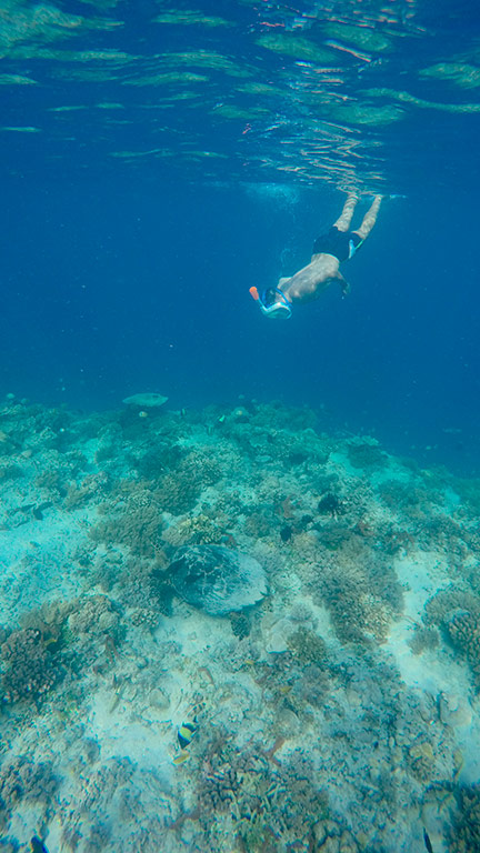 Practicando snorkel en Gili Air