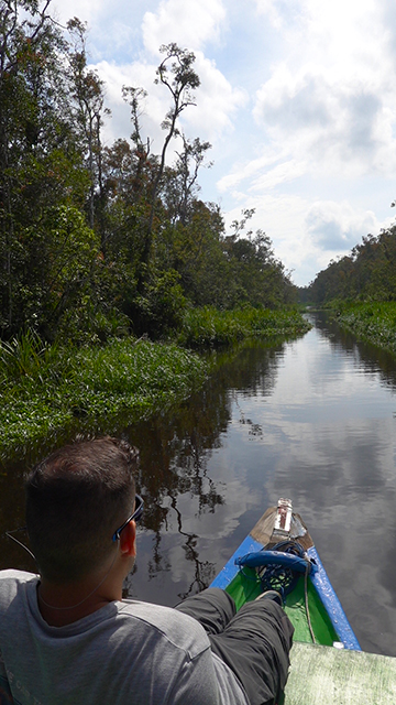 Navegarás solo por el río