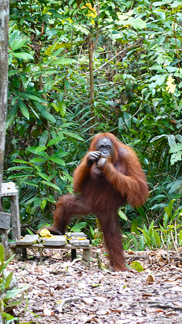 Mantén silencio durante la visita