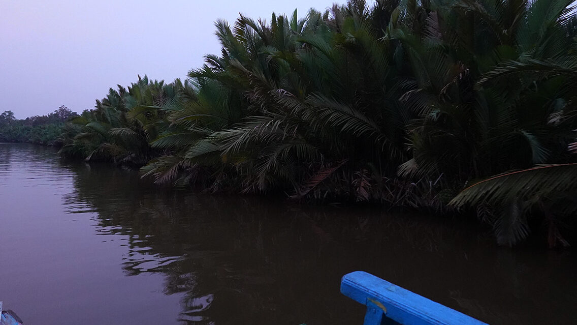 Navegando por el río