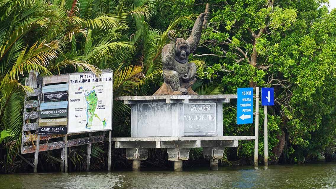 Finalizamos nuestra aventura por Borneo