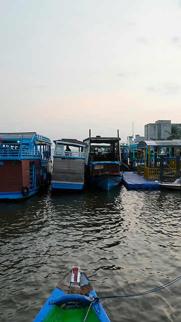 Visita a Borneo en Klotok