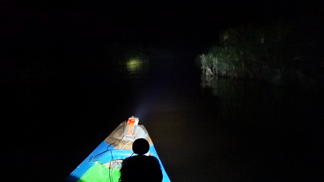 Navegando de noche por el río