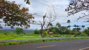 Como-llegar-y-moverse-por-Bali_