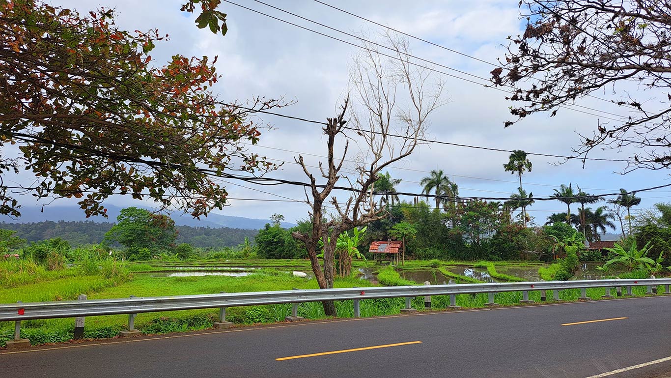 Como-llegar-y-moverse-por-Bali_