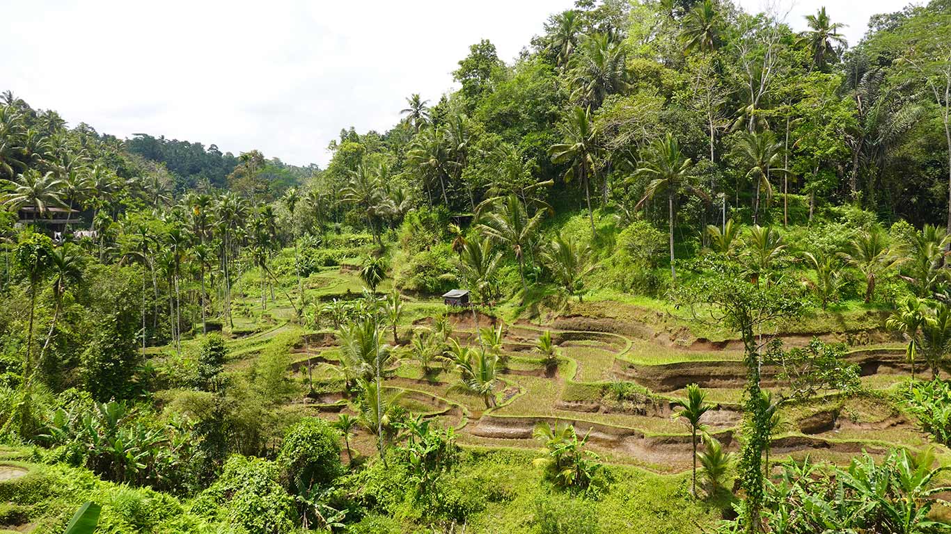 Visita Indonesia cualquier época del año