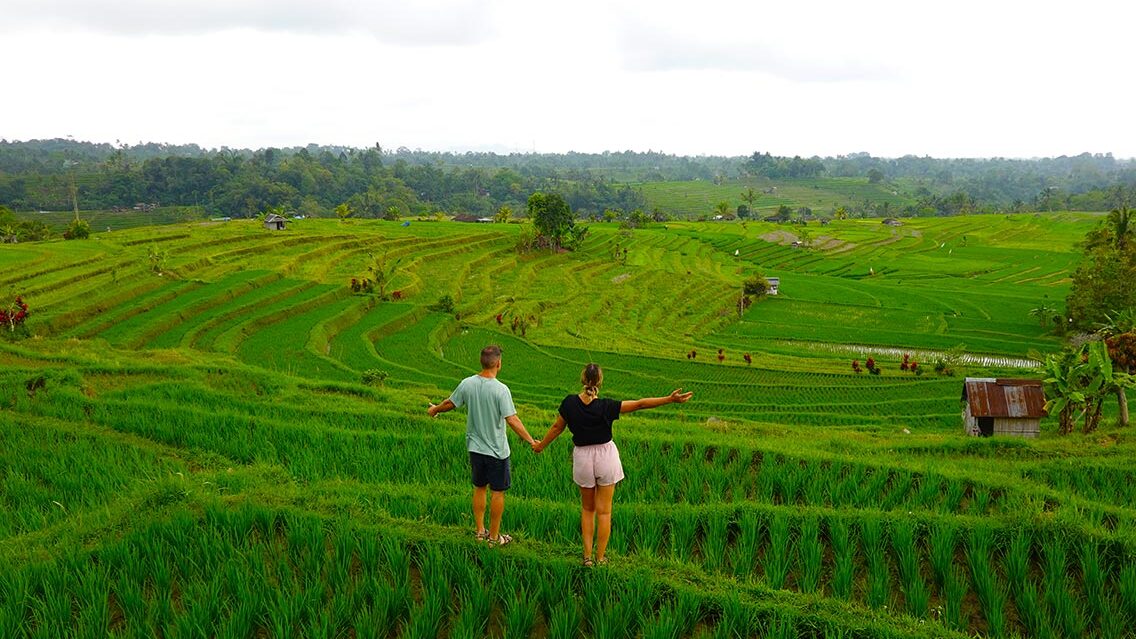 Los Arrozales Jatiluwih