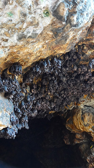 Pura Goa Lawah - La cueva de los murciélagos