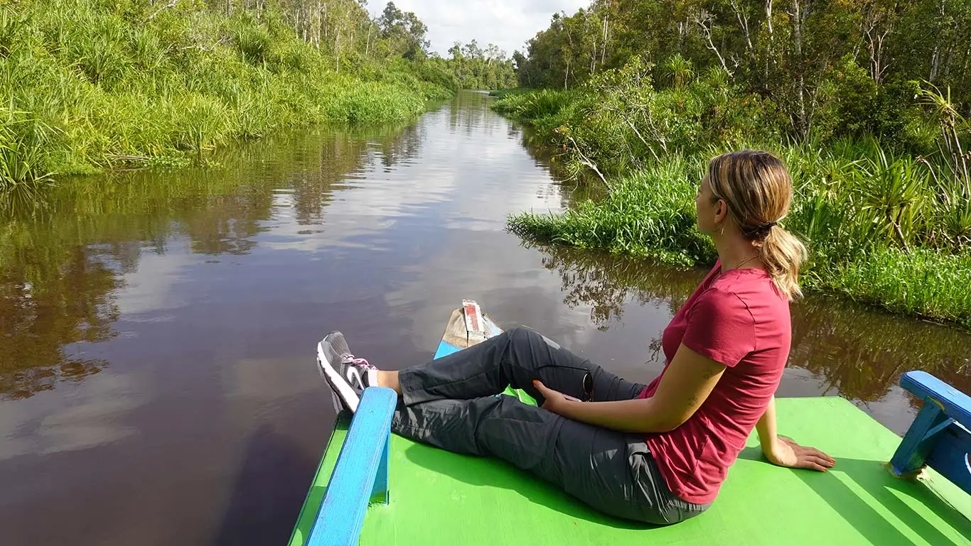 Borneo: orangutanes en libertad​