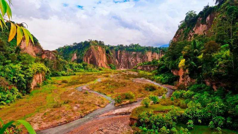Sumatra: un paraíso de selva tropical
