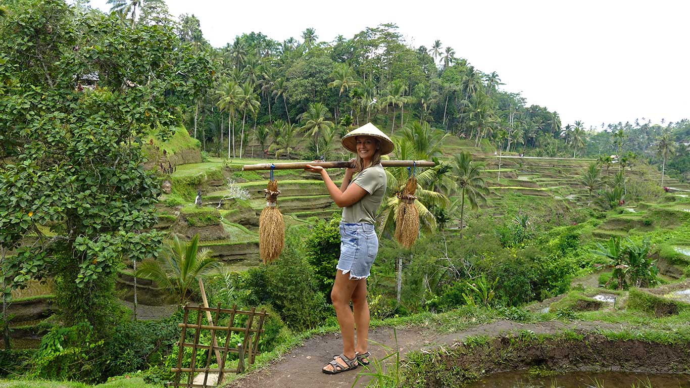 Arrozales de Tegalalang​