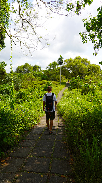 Ruta de senderismo en Bukit Campuhan