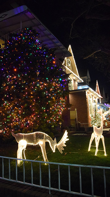 Luces Nueva York en Dyker Heighs