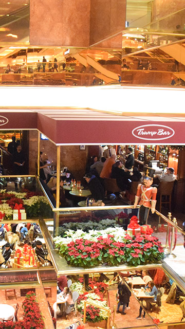 Torres Trump y su árbol