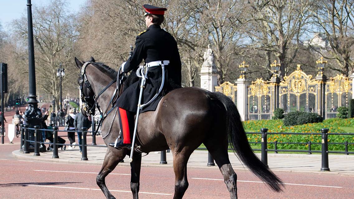 Hombre en caballo durante el cambio de guardia