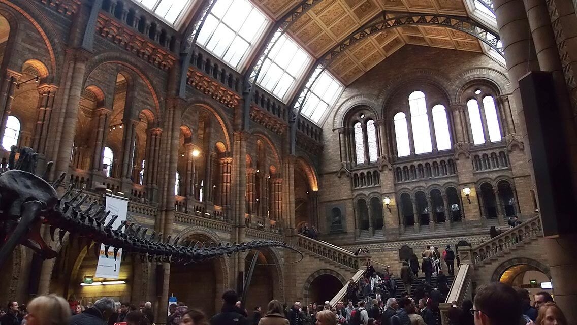 Museo de Historia Natural