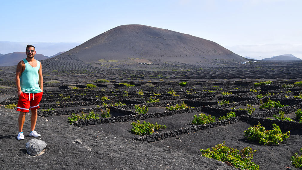 Los viñedos de La Geria