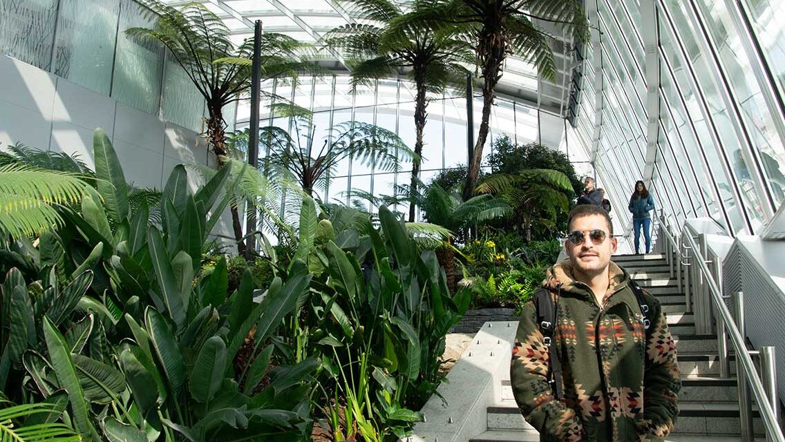 Plantas del Sky Garden