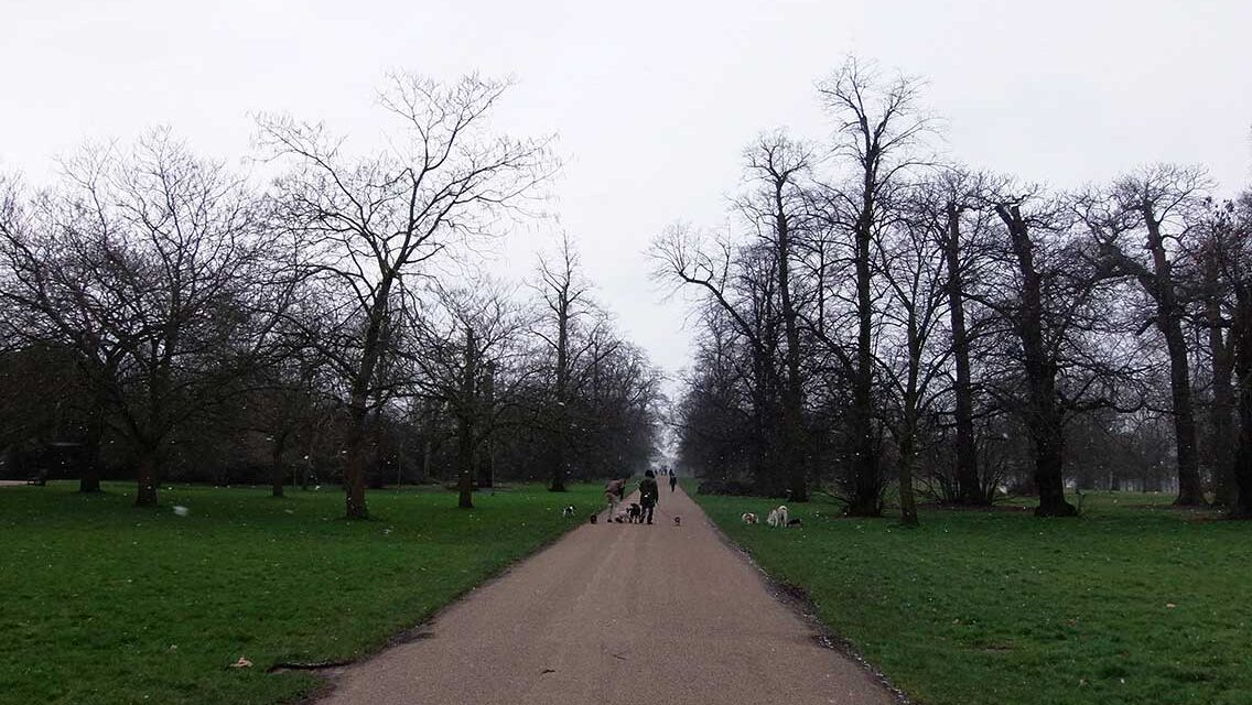 Nevando en el Green Park