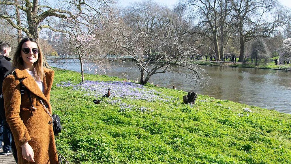 Flores del St Jame's Park