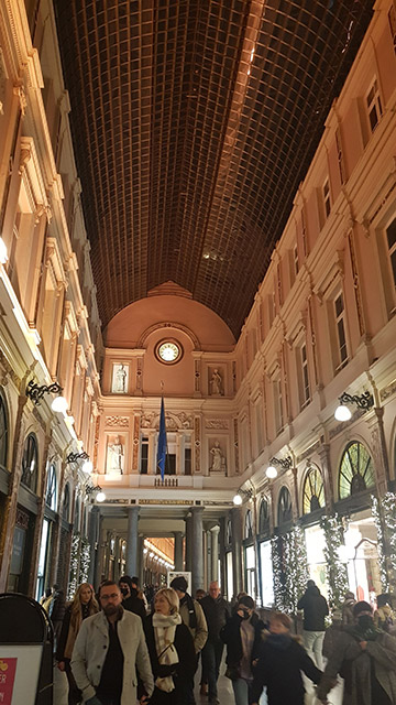 Visita las galerías