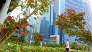 Donde-alojarse-en-Singapur_