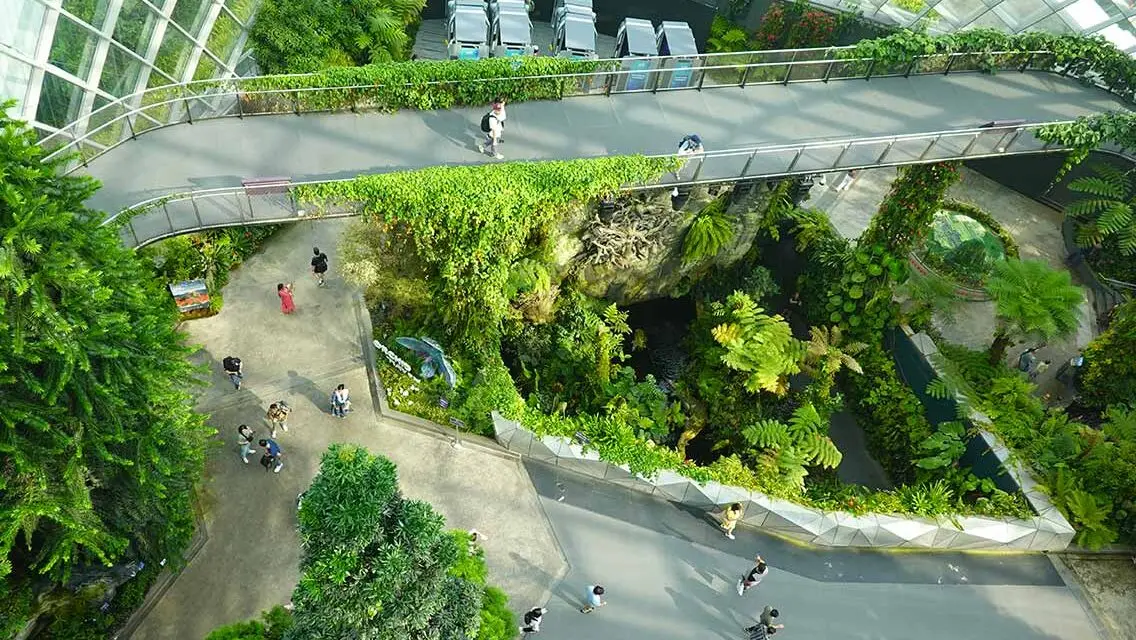 Vistas panorámicas desde lo alto de la cascada de Cloud Forest