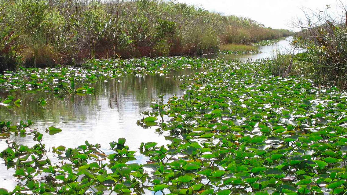 Everglades National Park