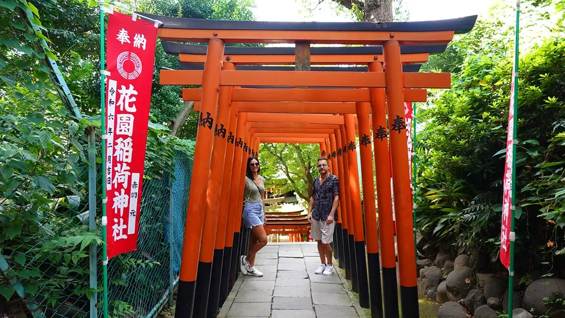 Dónde alojarse en Tokio. Tori en un parque de Tokio