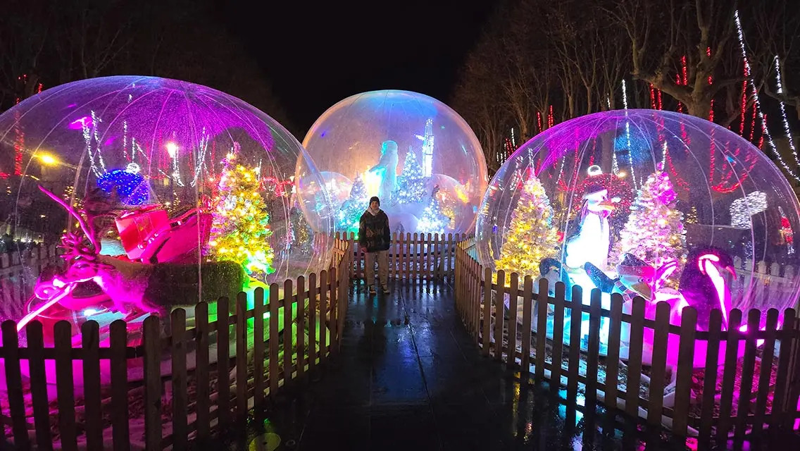 Mercado en La Square Gambetta en Carcassonne