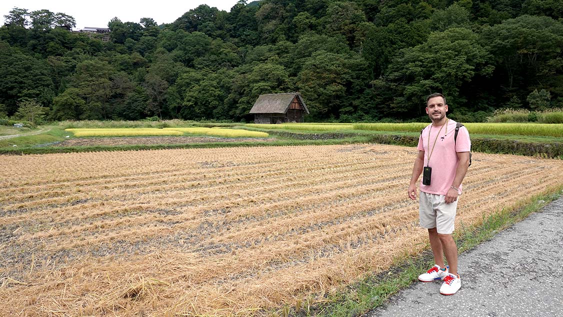 Qué ver en shirakawago. Campos de cosecha en Shirakawago