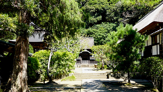 En el fondo está ubicado el Templo Engakuji
