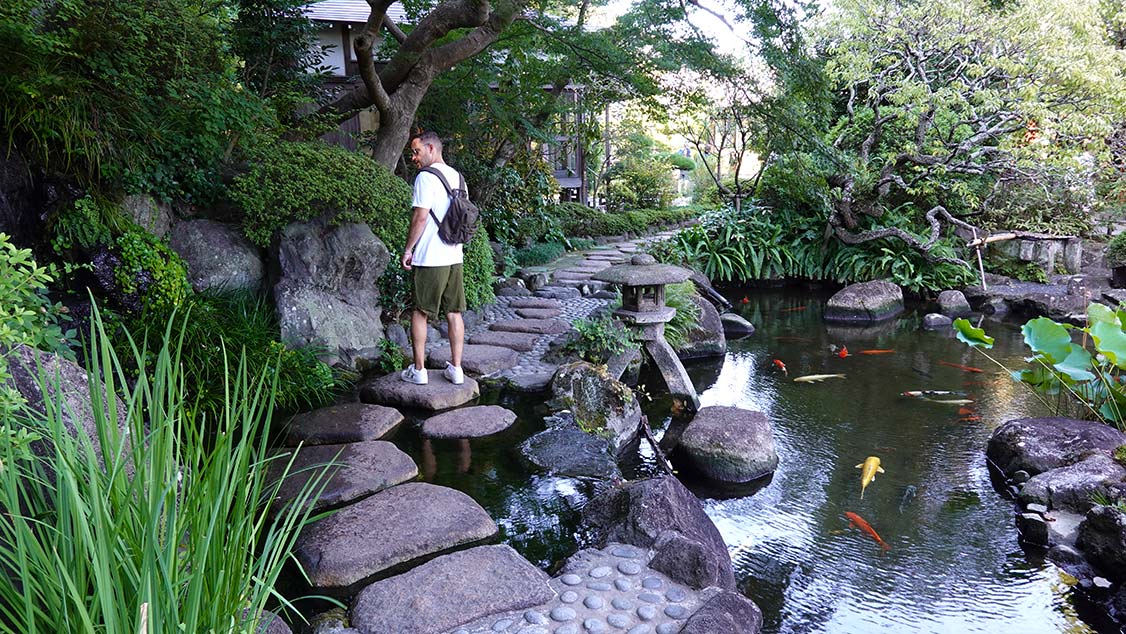 Estanque lleno de carpas