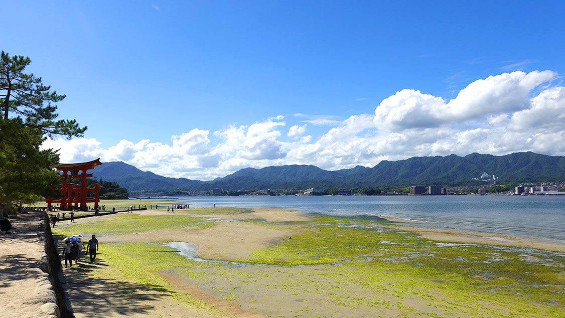 Tori con marea baja en Miyajima