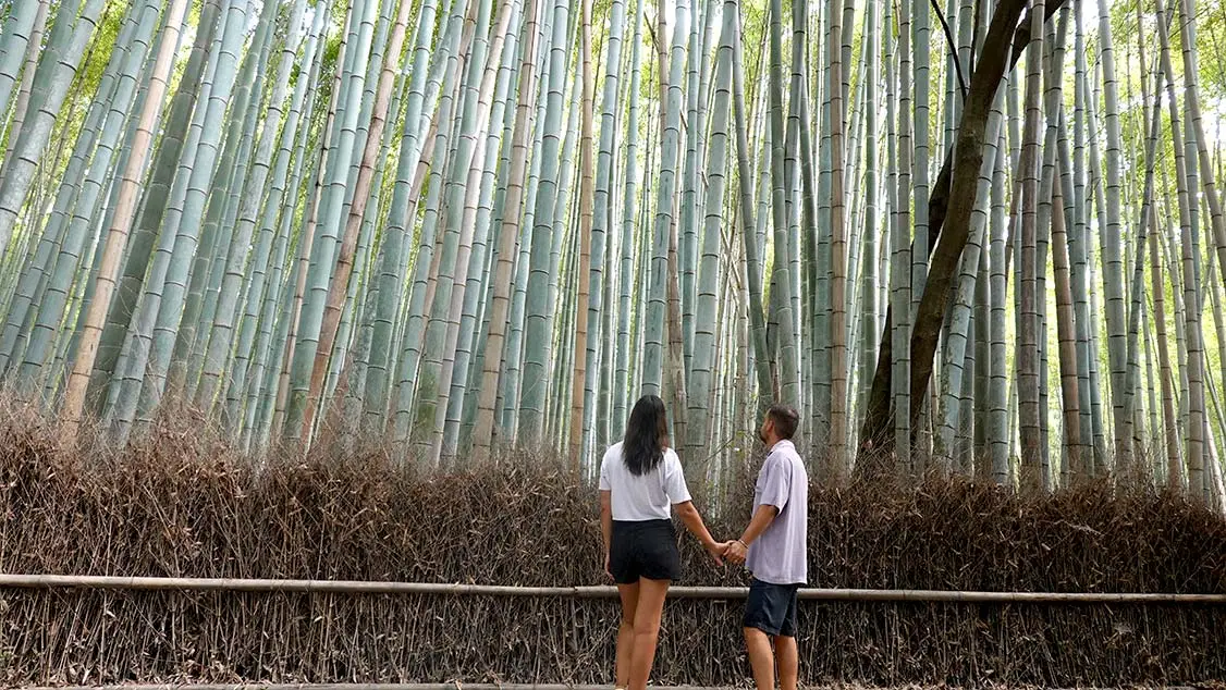 Arashiyama, el bosque de bambú