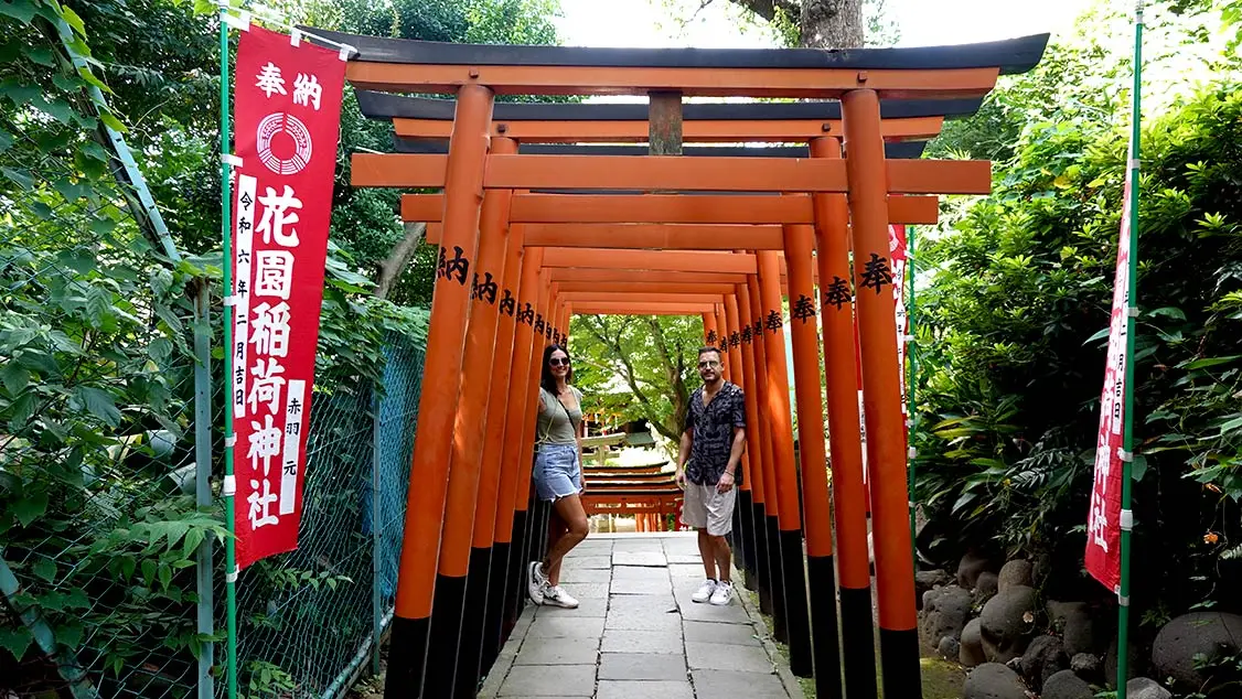 Tori en el parque de Ueno
