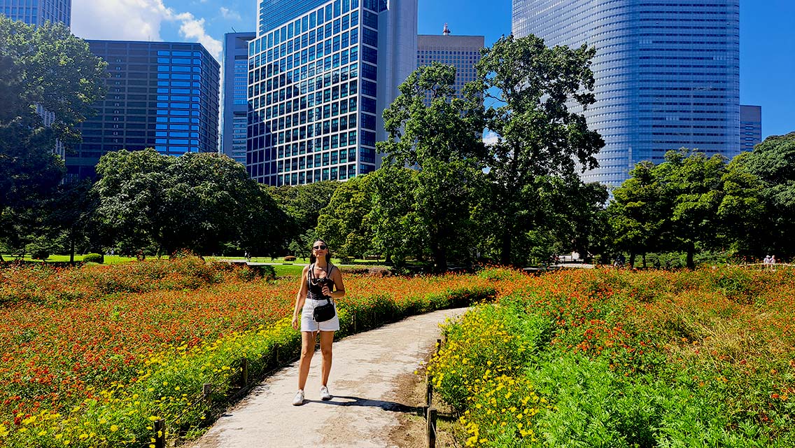 Jardines de Hamarikyu