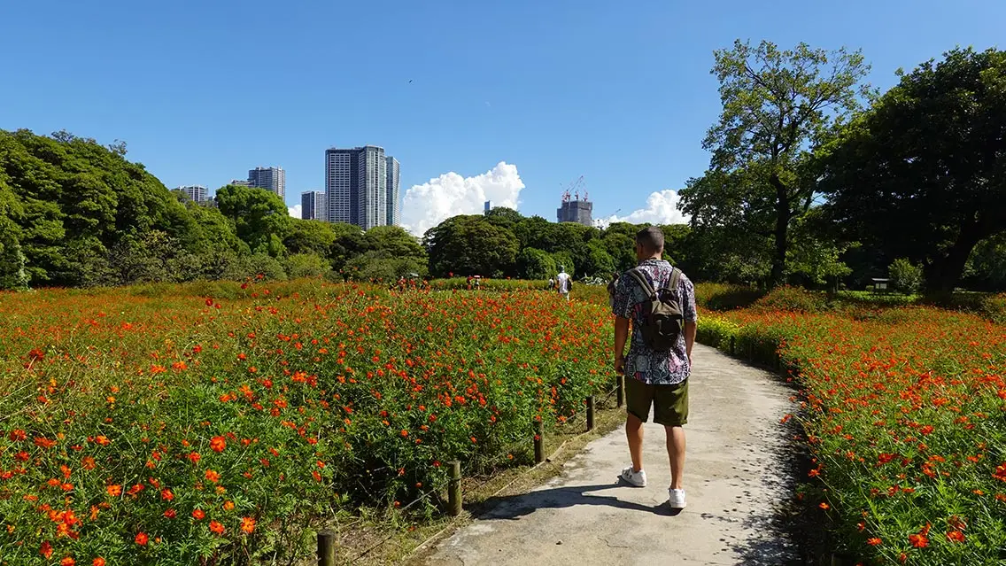 Parque urbano en el centro de Tokio