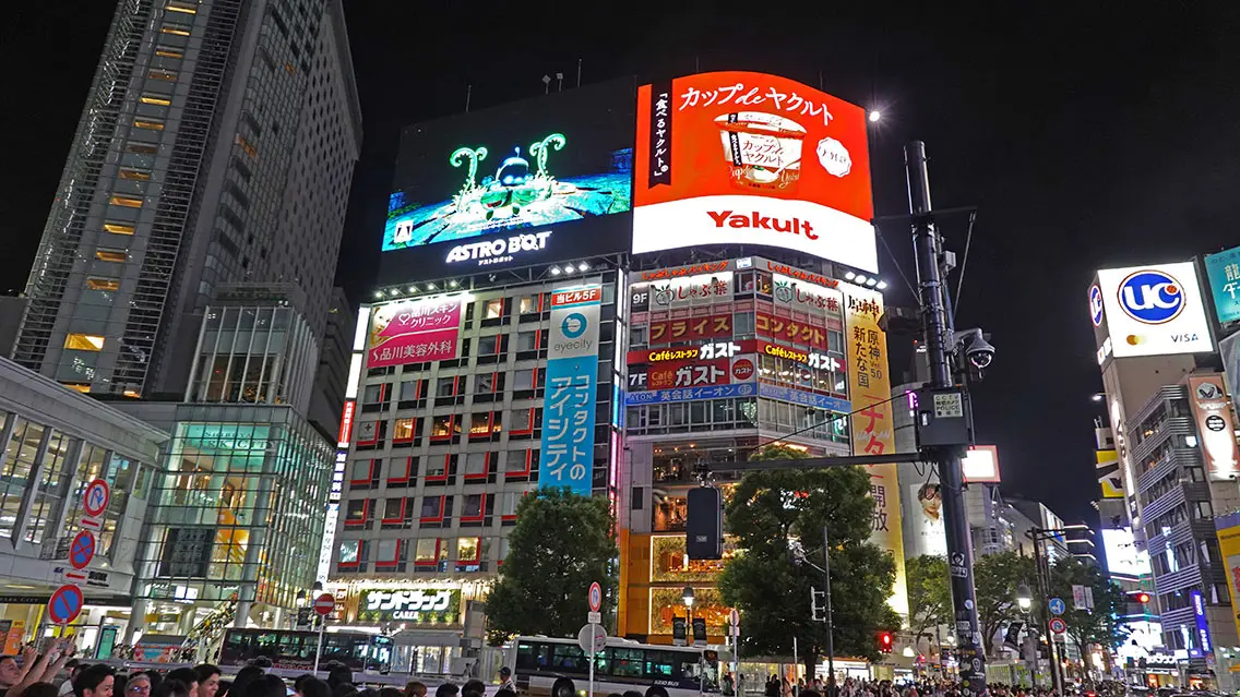 De noche es espectacular la vida que hay en esta zona