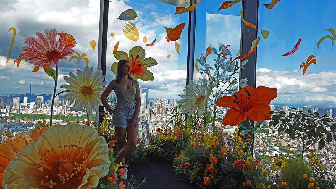 Vistas desde Shibuya