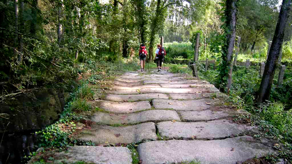 Camino de Santiago