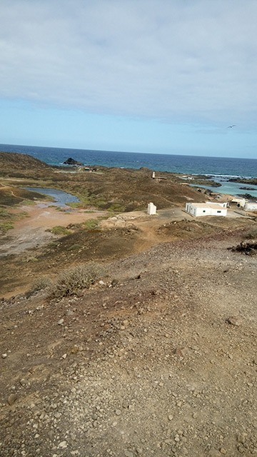 qué ver en isla de lobos