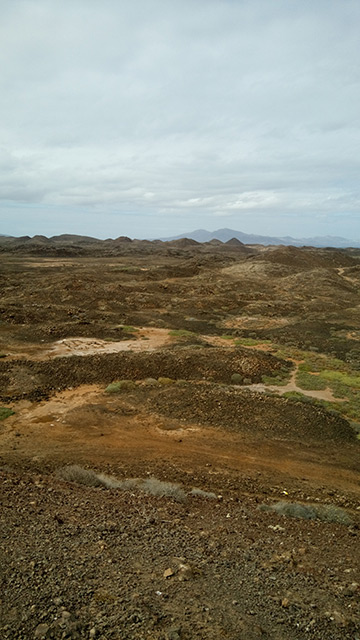 qué ver en isla de lobos