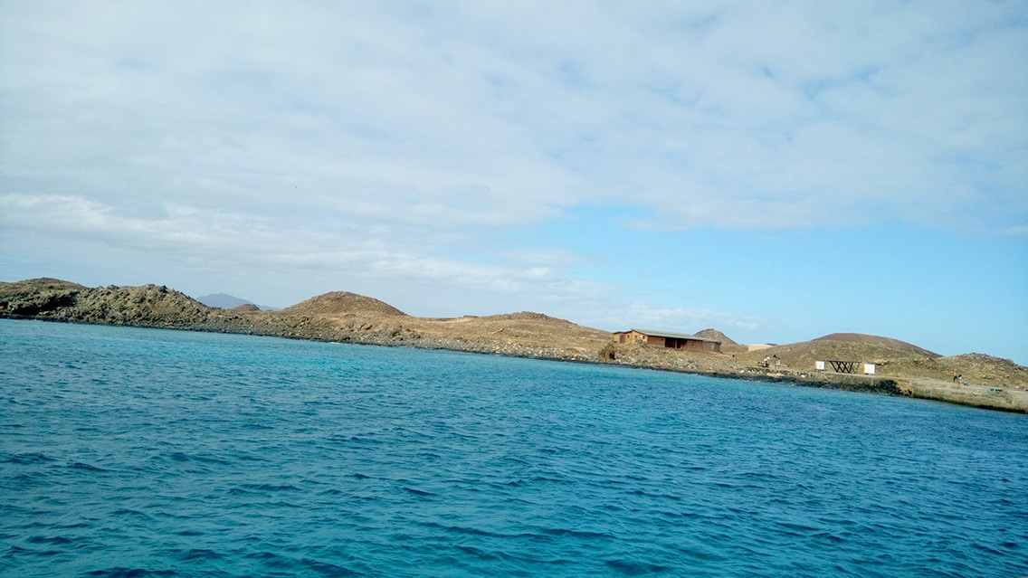 qué ver en isla de lobos